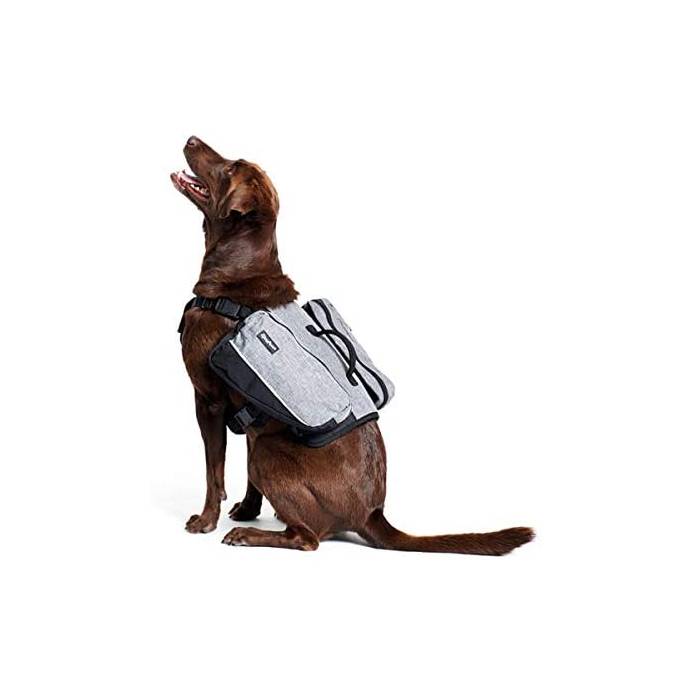 Adventure Graphite Small Backpack - by Zippy Paws