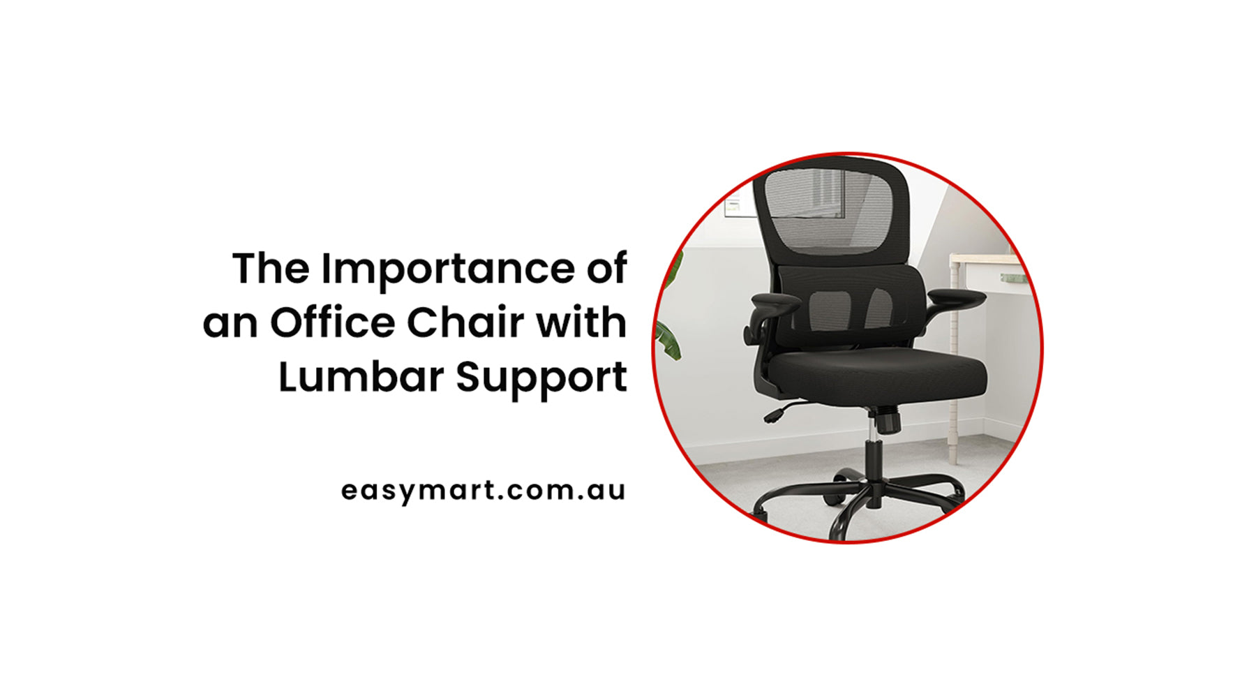 lumbar support office chair