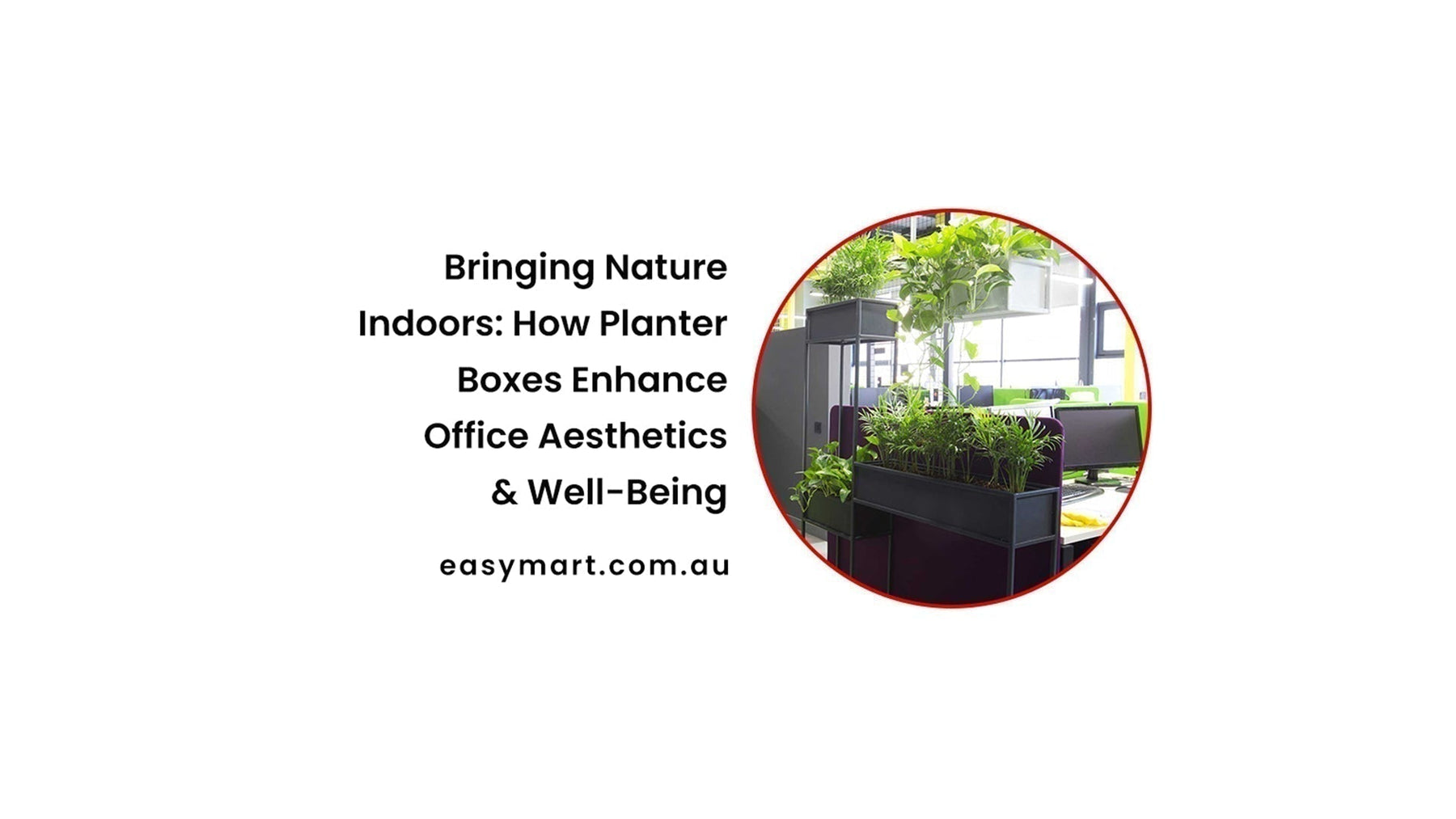 Bringing Nature Indoors: How Planter Boxes Enhance Office Aesthetics & Well-Being