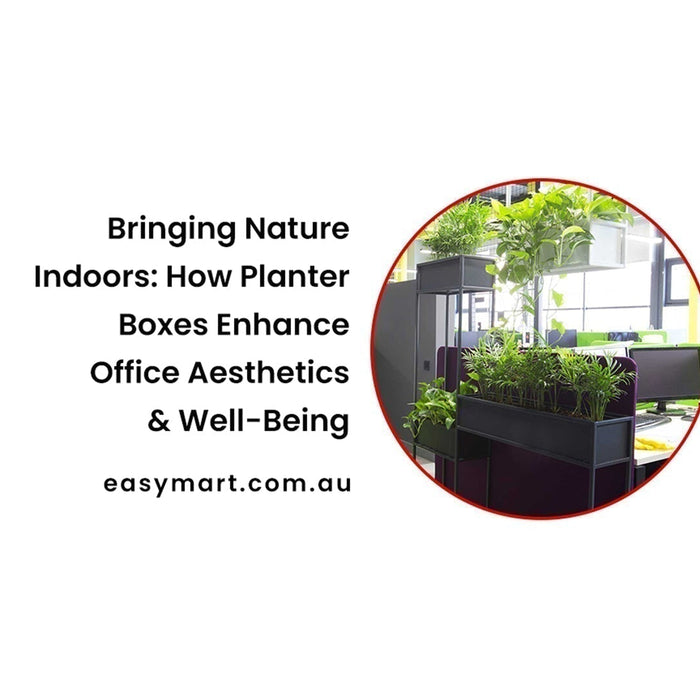Bringing Nature Indoors: How Planter Boxes Enhance Office Aesthetics & Well-Being