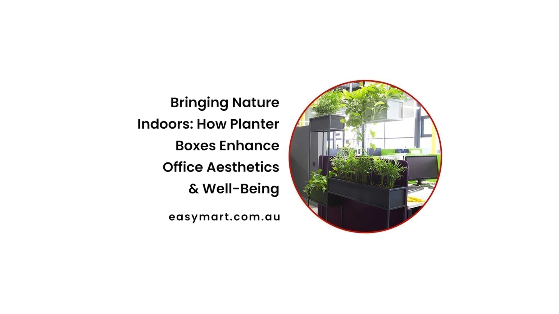 Bringing Nature Indoors: How Planter Boxes Enhance Office Aesthetics & Well-Being
