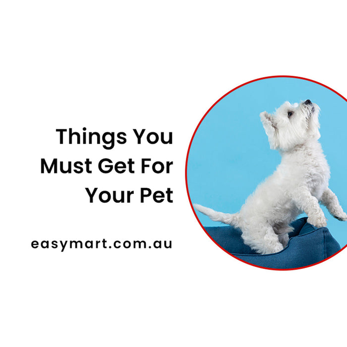  must have things for pet