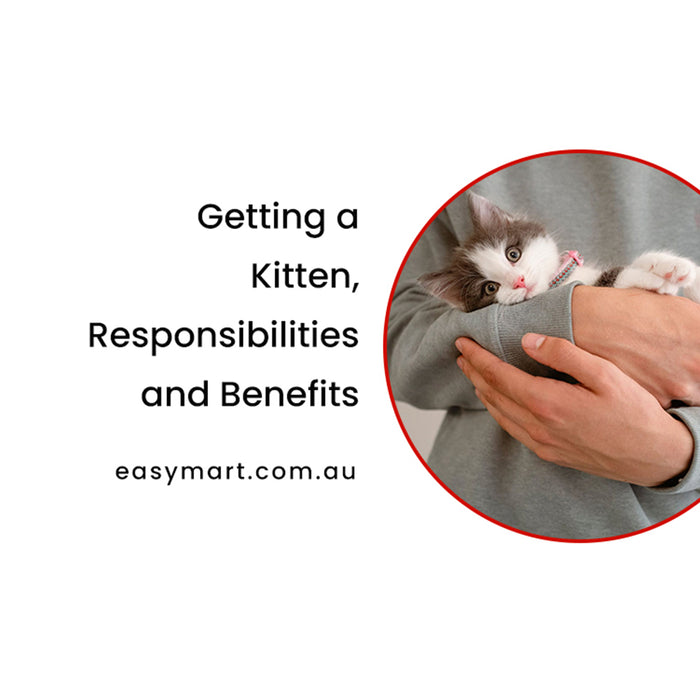Getting a Kitten, Responsibilities and Benefits