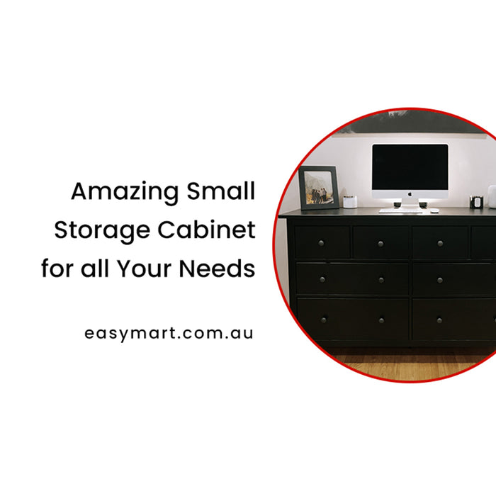 Amazing Small Storage Cabinet for all Your Needs