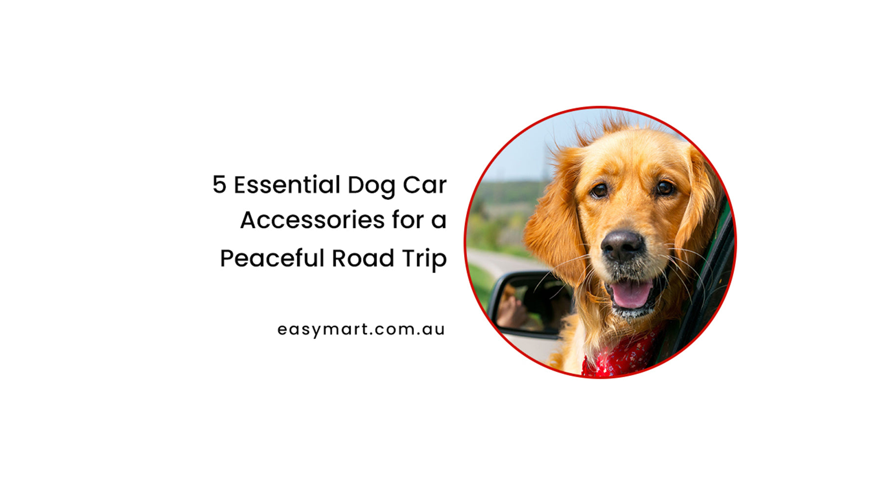 5 Essential Dog Car Accessories for a Peaceful Road Trip