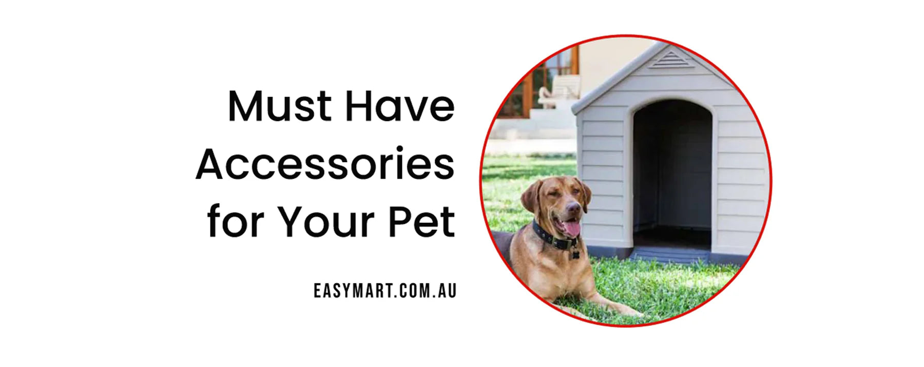 Why Dog Pram is a Must-Have Accessory for Your pet?