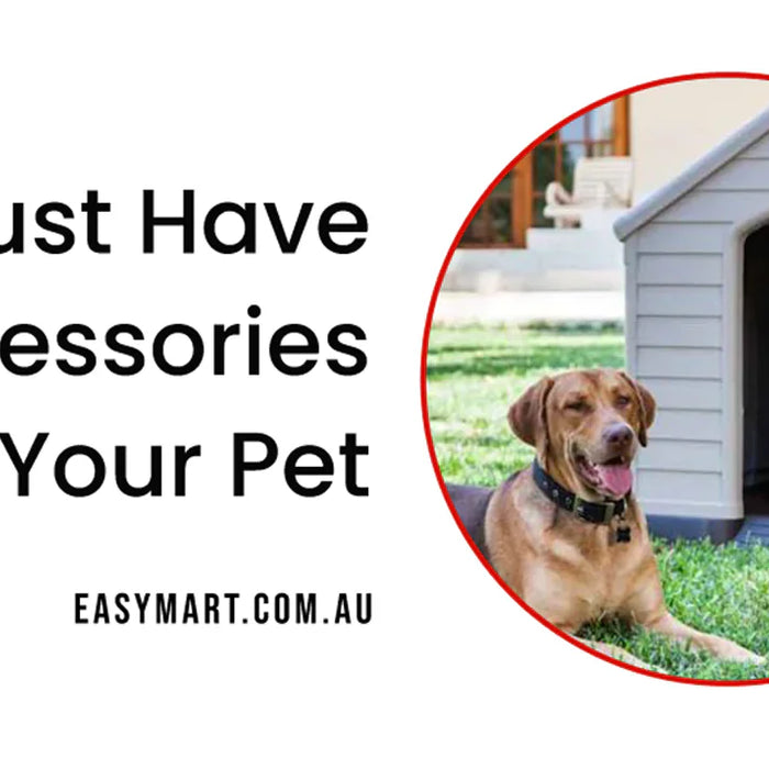 Why Dog Pram is a Must-Have Accessory for Your pet?