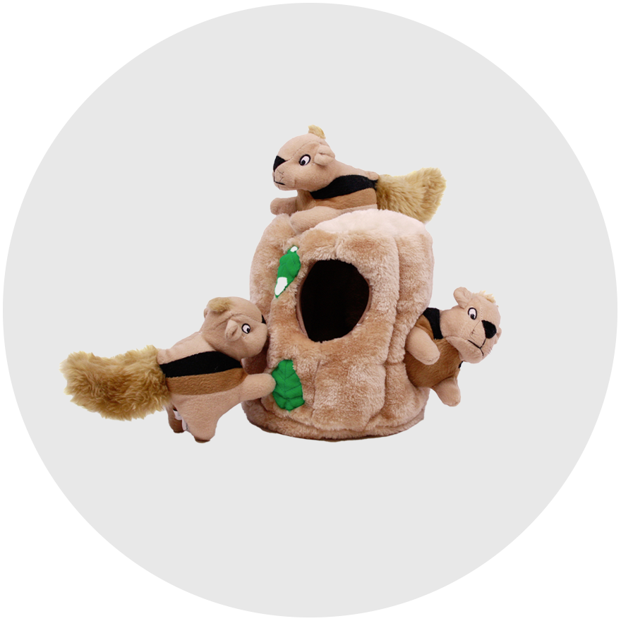 Buy Dog Toys Online Australia EasyMart