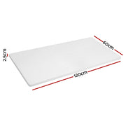 Artiss Standing Desk Top Only