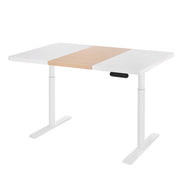 Artiss Standing Desk Motorised Electric Dual Motor Height-adjustable 120cm White Pine White