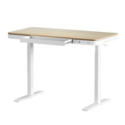 Artiss Standing Desk Motorised Electric Dual Motor Height-adjustable 120cm Oak White
