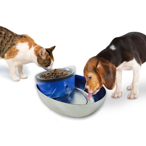 Pioneer Pet Stainless Steel and Plastic Water Food Bowl Drinking Fountain