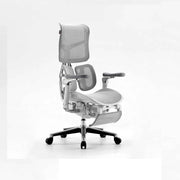 SIHOO Doro S300 Executive Ergonomic Office Chair with Footrest Gray