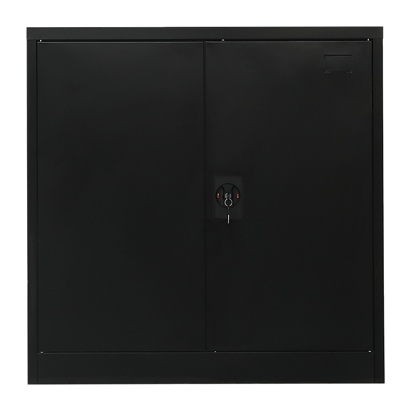 Two-Door Metal Short Cabinet Shelf Storage for Home Office Gym