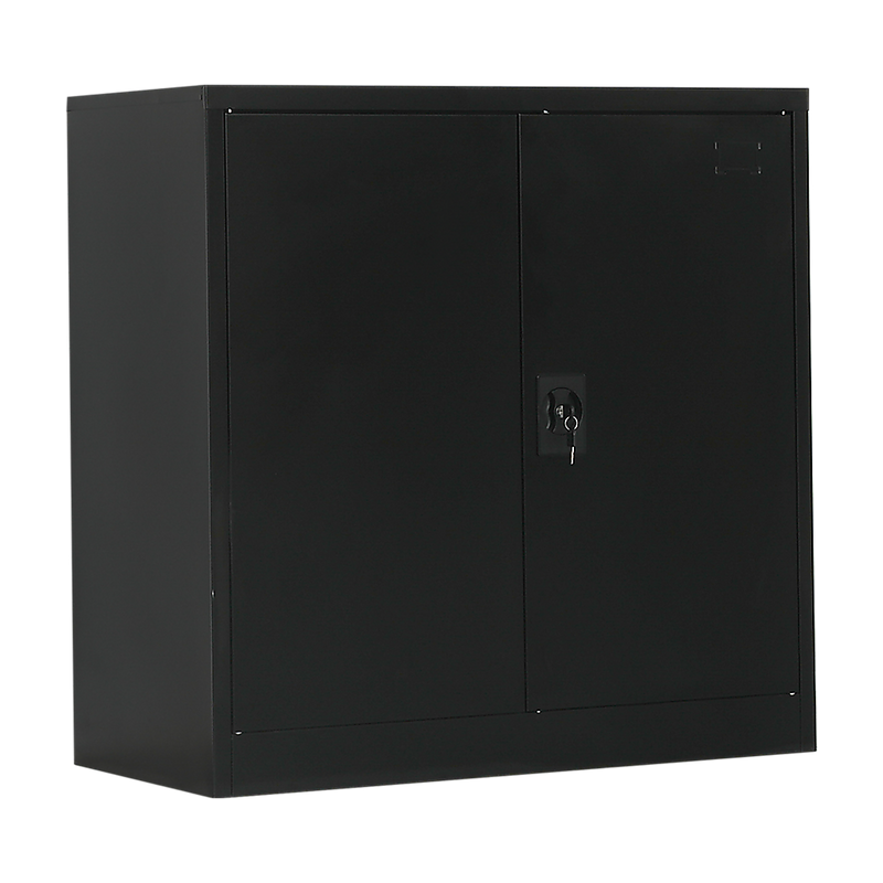 Two-Door Metal Short Cabinet Shelf Storage for Home Office Gym