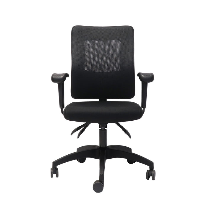 Rapidline Ergonomic Executive Chair With Large Mesh Back