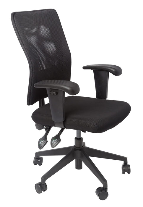 Rapidline Ergonomic Executive Chair With Large Mesh Back