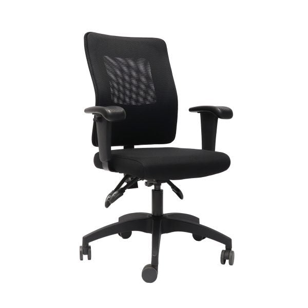 Rapidline Ergonomic Executive Chair With Large Mesh Back