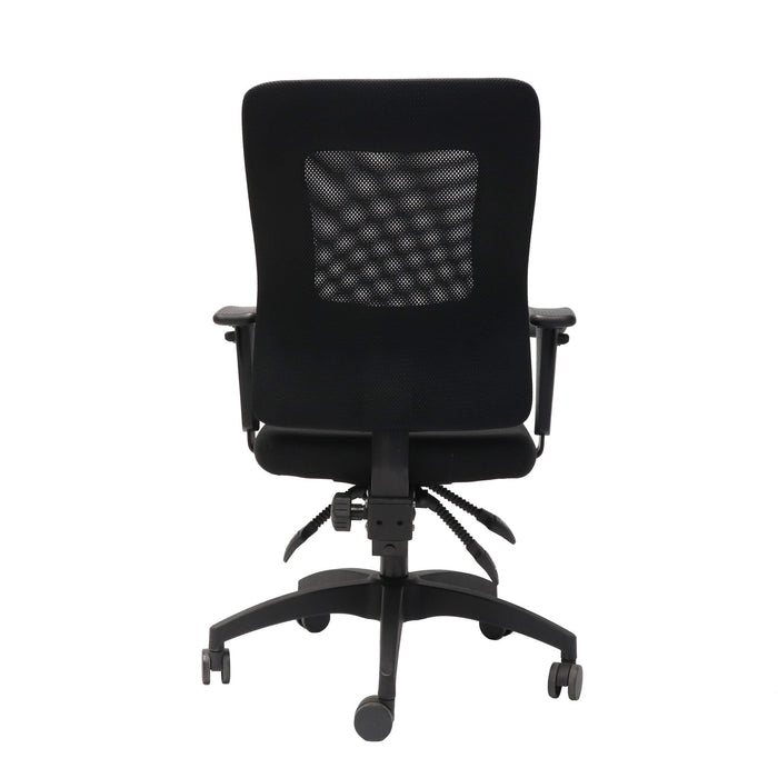 Rapidline Ergonomic Executive Chair With Large Mesh Back