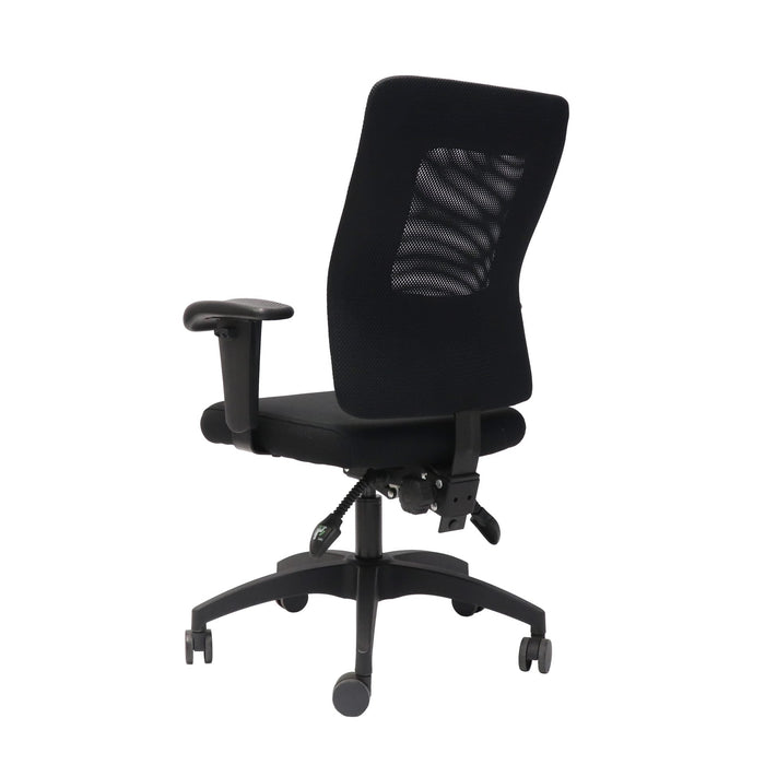 Rapidline Ergonomic Executive Chair With Large Mesh Back