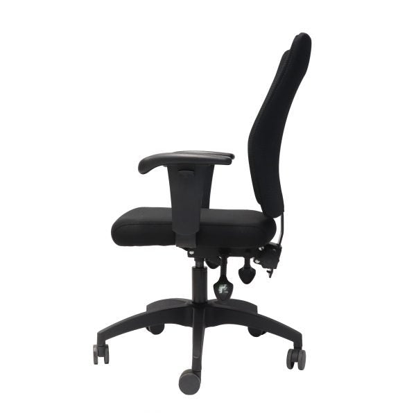 Rapidline Ergonomic Executive Chair With Large Mesh Back