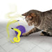 Cat Playing With Kong Purrsuit Whirlwind Cat Toy