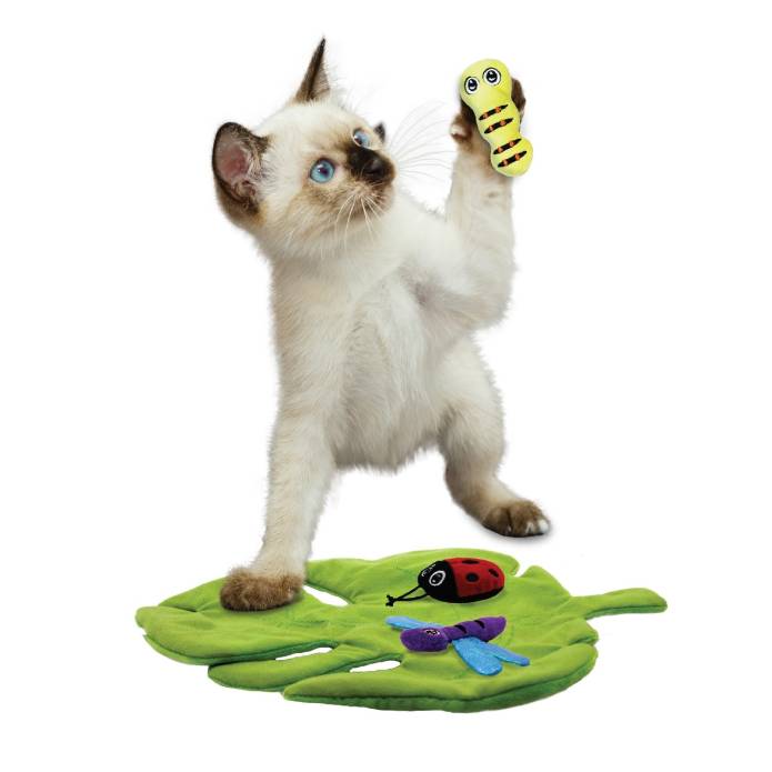 Cat Playing With KONG Pull-A-Partz Bugs Interactive Plush Catnip Cat Toy