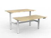 Agile Double Motor Electric Shared Desk