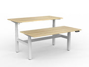 Agile Double Motor Electric Shared Desk