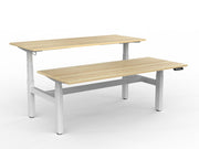 Agile Double Motor Electric Shared Desk