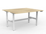 Agile Double Motor Electric Shared Desk