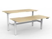 Agile Double Motor Electric Shared Desk