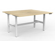 Agile Double Motor Electric Shared Desk