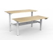 Agile Double Motor Electric Shared Desk With Cable Tray