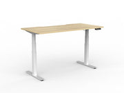 Agile Double Motor Electric Individual Desk