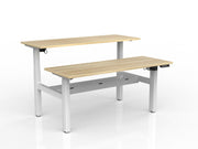 Agile 2-Column Electric Shared Desk With Cable Tray