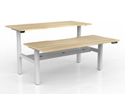 Agile 2-Column Electric Shared Desk With Cable Tray