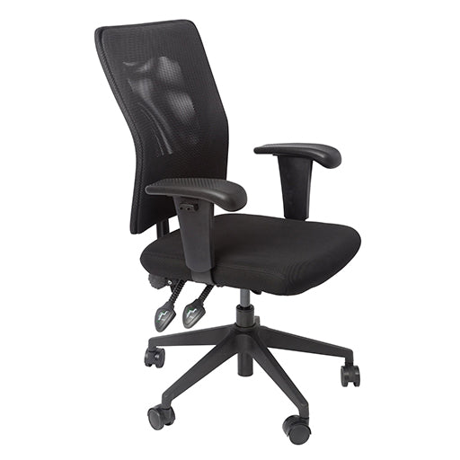Rapidline Ergonomic Executive Chair With Large Mesh Back