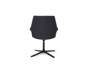 Boston Meeting Chair