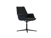 Boston Meeting Chair