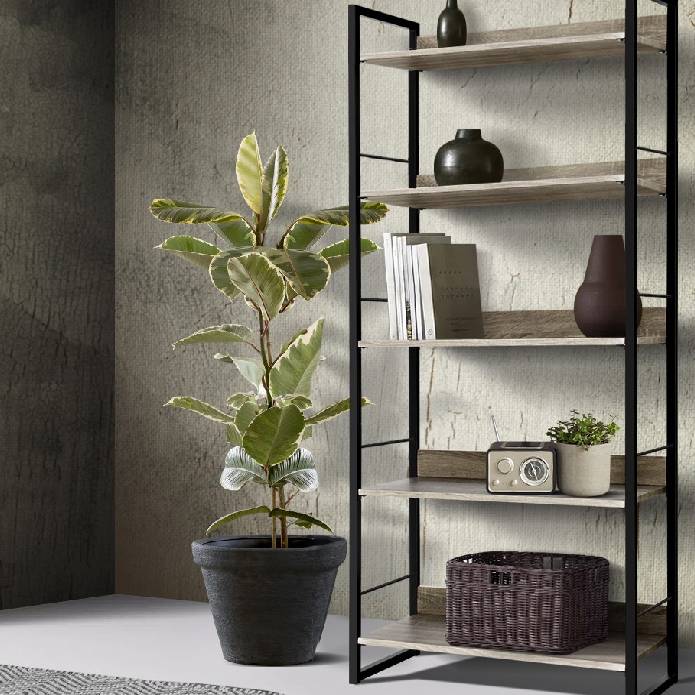 Artiss Bookshelf Wooden Display Shelves Bookcase Shelf Storage Metal Wall Black