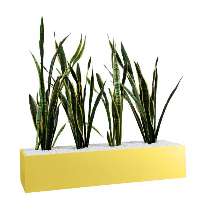 Statewide 1200mm Wide Planter Boxes – to suit Tambours or Standalone Lemon Yellow