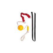 Aussie Dog Home Alone Junior