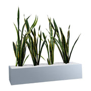 Statewide 1200mm Wide Planter Boxes – to suit Tambours or Standalone Precious Silver