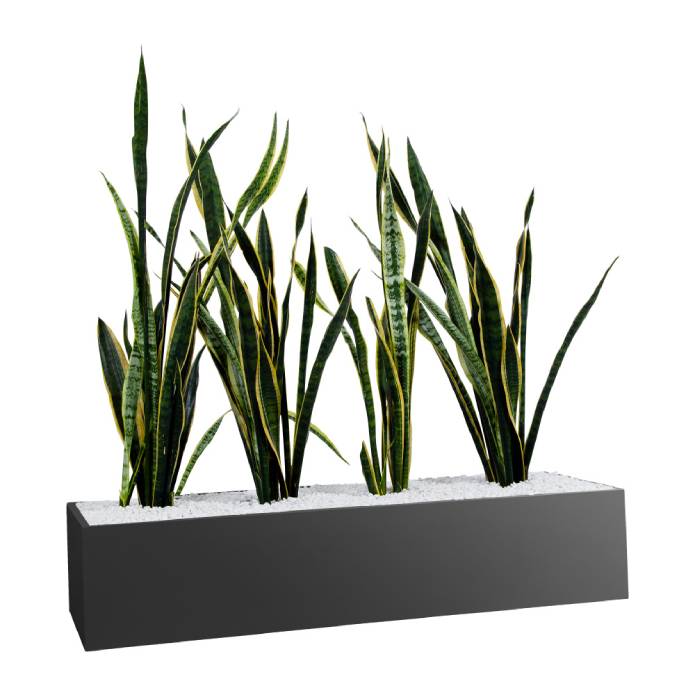 Statewide 1000mm Wide Planter Boxes – to suit Tambours or Standalone Black Ripple