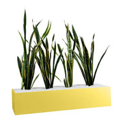 Statewide 900mm Wide Planter Boxes – to suit Tambours or Standalone Lemon Yellow