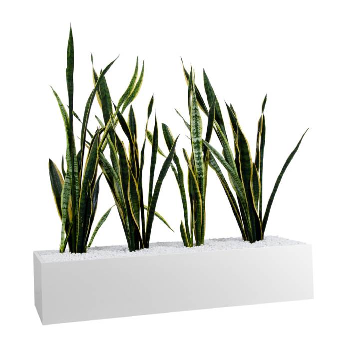 Statewide 1000mm Wide Planter Boxes – to suit Tambours or Standalone White