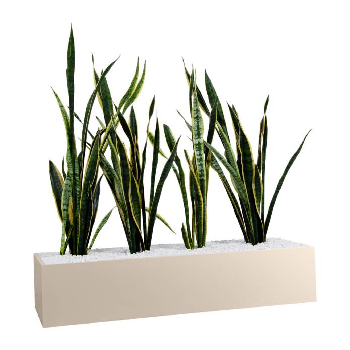 Statewide 900mm Wide Planter Boxes – to suit Tambours or Standalone Wild Oats