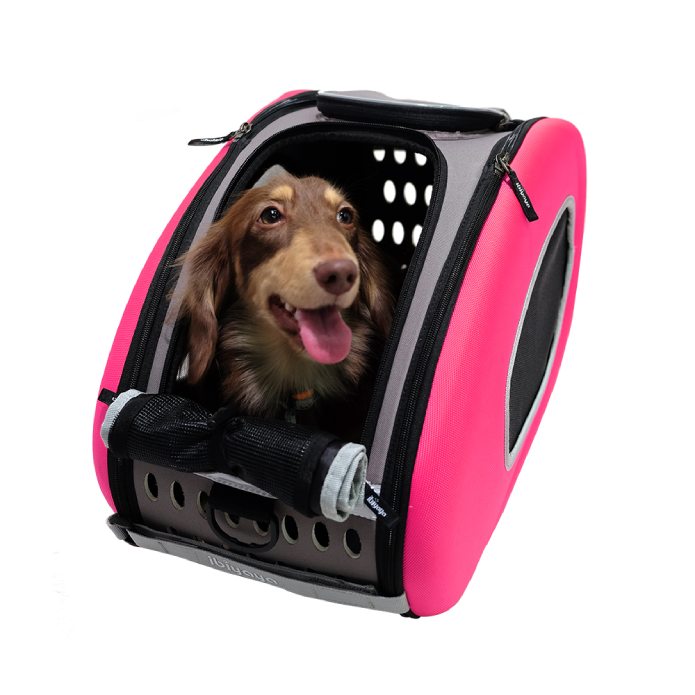 a dog in eva pet carrier