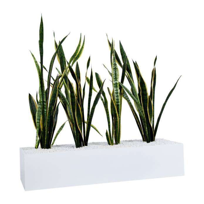 Statewide 1200mm Wide Planter Boxes – to suit Tambours or Standalone White Birch